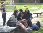 students-lunch