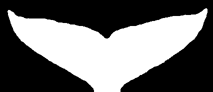 ACS logo